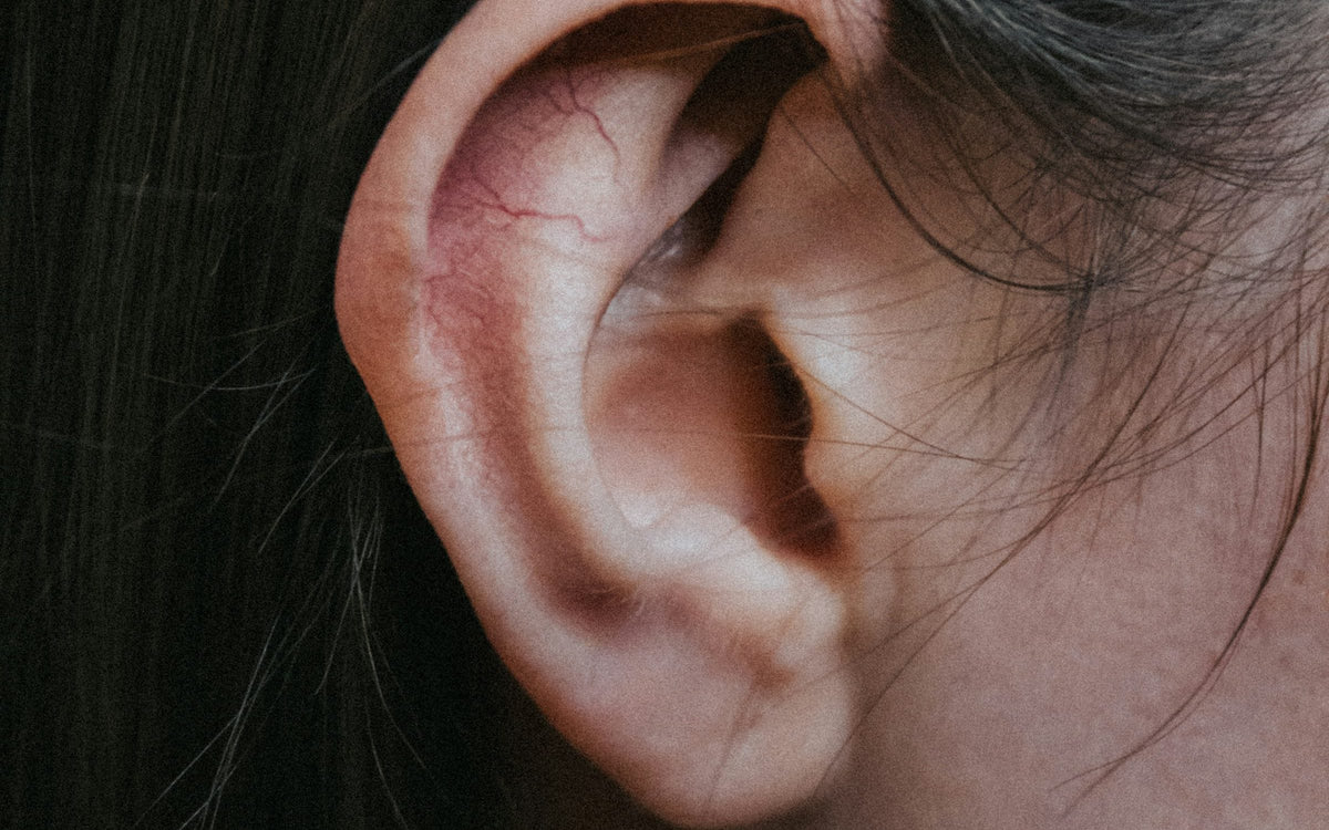A close-up of an ear against dark hair, lit from the side.